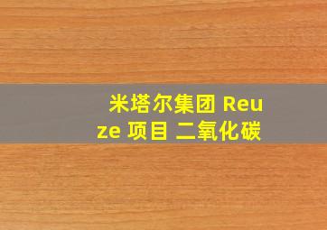 米塔尔集团 Reuze 项目 二氧化碳